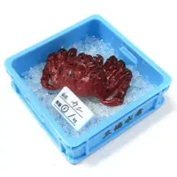 Trading Figure - Fresh Fisheries Mascot