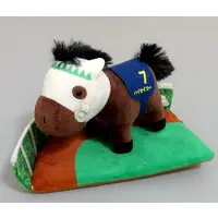 Plush - Thoroughbred collection