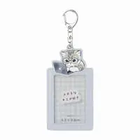 mofusand Trading Card Case (Glasses)