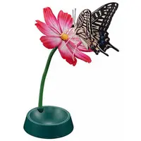 Trading Figure - Ikimono Daizukan