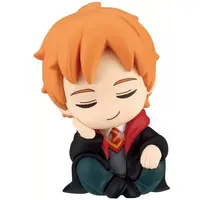 Katazun Fig - Harry Potter Series