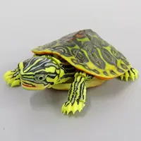 Trading Figure - Ikimono Daizukan