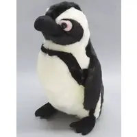 Plush - Penguin