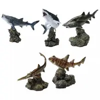 Trading Figure - Ikimono Daizukan