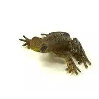 Trading Figure - Primary Color Amphibian Frog Encyclopedia