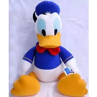 Plush - Disney / Donald Duck