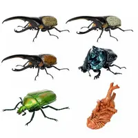 Trading Figure - Ikimono Daizukan