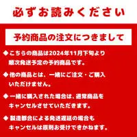 Stationery - Chiikawa