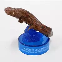 Trading Figure - Kyoto Aquarium