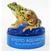 Trading Figure - Kyoto Aquarium
