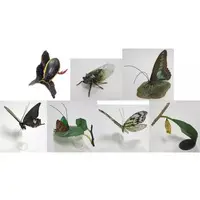 Trading Figure - Primary Color Japanese Insect Encyclopedia