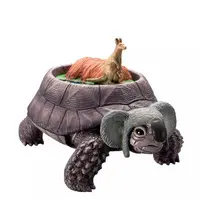 Trading Figure - Continent Tortoise / Turtle