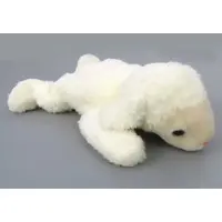 Plush - THE BEANIE BUDDIES