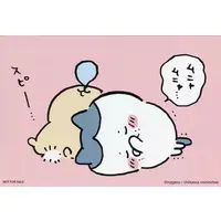 Character Card - Chiikawa / Usagi & Hachiware