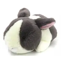 Plush - Rabbit
