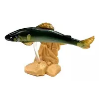 Trading Figure - Freshwater Fishes