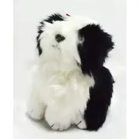 Plush - THE BEANIE BUDDIES