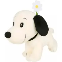 Plush - PEANUTS / Snoopy