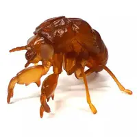 Ichiban Kuji - LIFE with INSECT