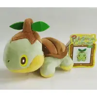 Plush - Pokémon / Turtwig