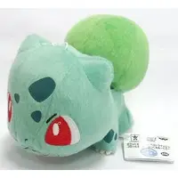 Plush - Pokémon / Bulbasaur