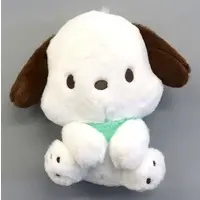 Plush - Sanrio characters / Pochacco