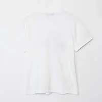 Chiikawa Multiverse?! - Chiikawa / Chiikawa & Usagi & Hachiware & Kabutomushi