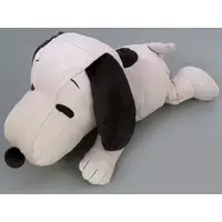 Plush - PEANUTS / Snoopy