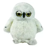 Plush - LUCKY HOOTY