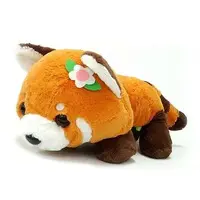 Plush - Red panda (lesser panda)