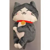 Plush - Neko ni Tensei shita Ojisan / Pun-chan