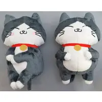 Plush - Neko ni Tensei shita Ojisan / Pun-chan
