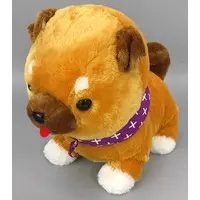 Plush - MAMESHIBA SANKYOUDAI