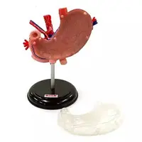 Trading Figure - Children's Encyclopedia