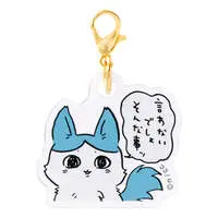 Chiikawa Multiverse?! - Chiikawa / Chiikawa & Usagi & Hachiware & Kabutomushi