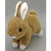 Plush - Rabbit