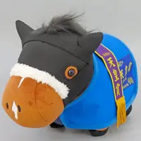 Plush - Thoroughbred collection
