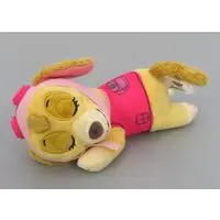 Plush - PAW Patrol / Skye