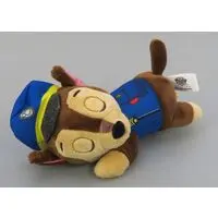 Plush - PAW Patrol / Chase