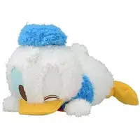 Plush - Disney / Donald Duck