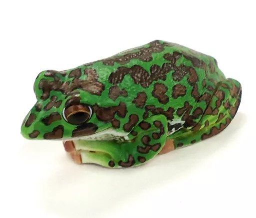 Trading Figure - Nature Technicolor