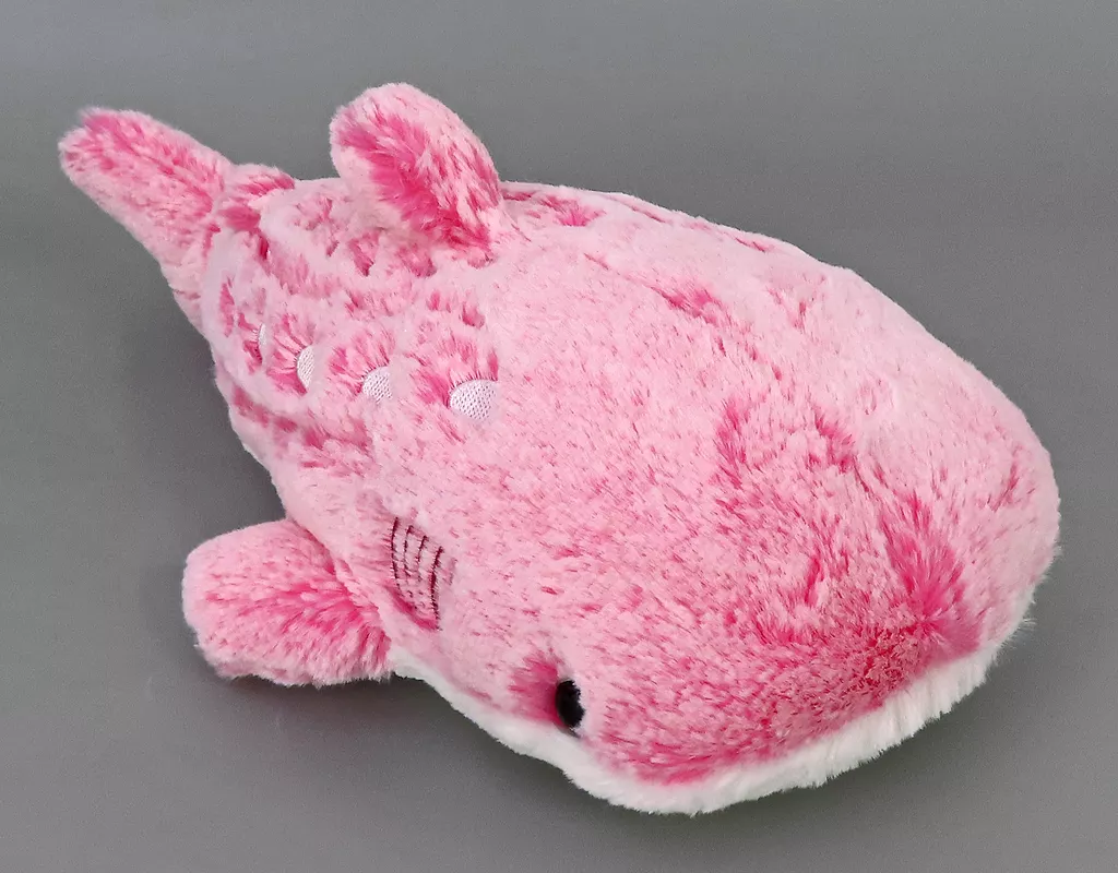 Plush - Okinawa Churaumi Aquarium