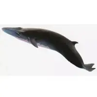 Trading Figure - Kaiyodo CapsuleQ Museum