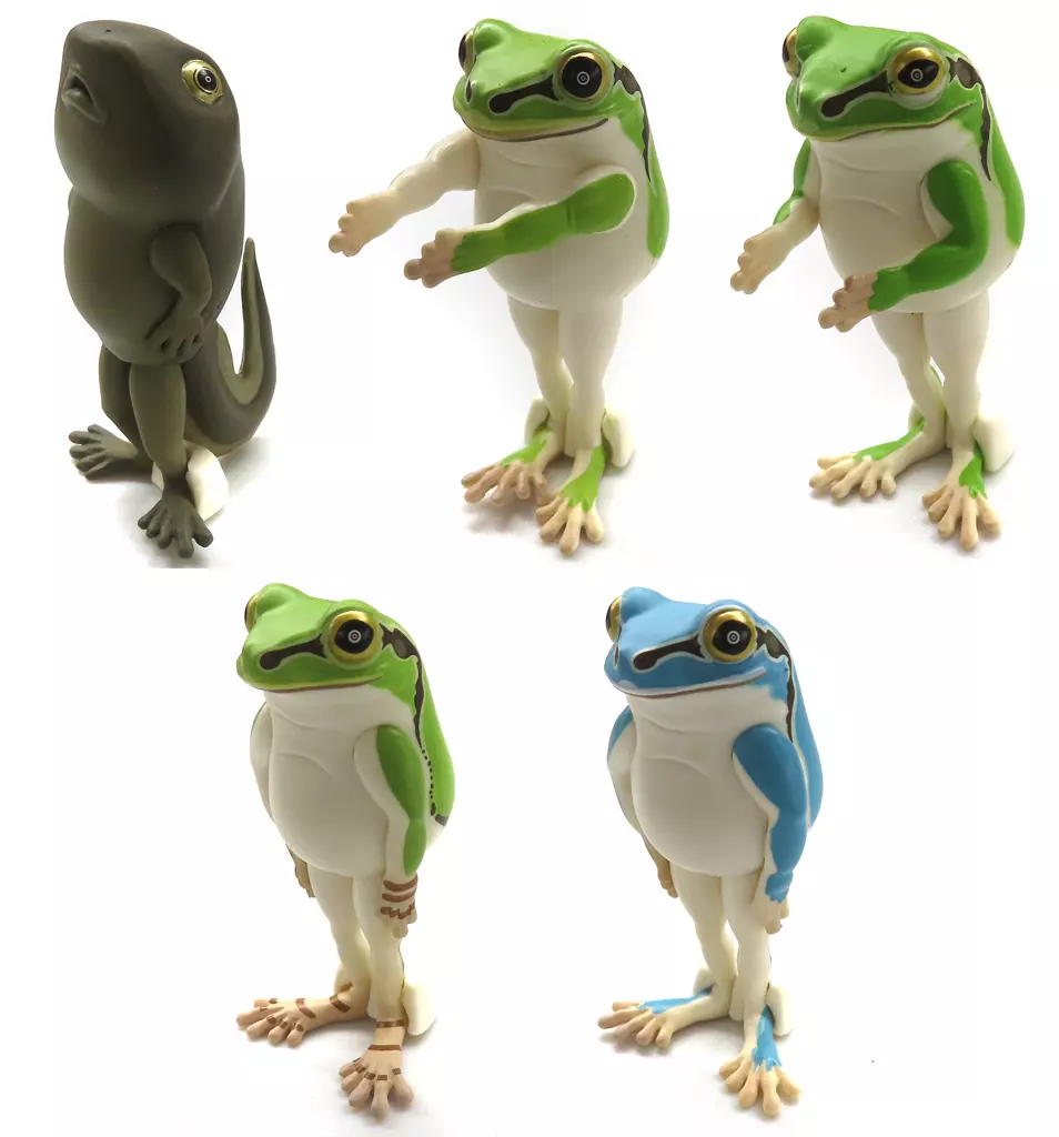 Narabetai - Seiretsu Tree frog