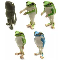 Narabetai - Seiretsu Tree frog