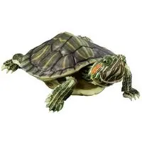 Trading Figure - Ikimono Daizukan