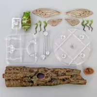 Trading Figure - Ikimono Daizukan