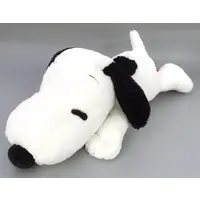 Plush - PEANUTS / Snoopy