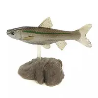 Trading Figure - Freshwater Fishes