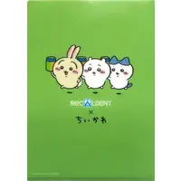 Stationery - Plastic Folder (Clear File) - Chiikawa